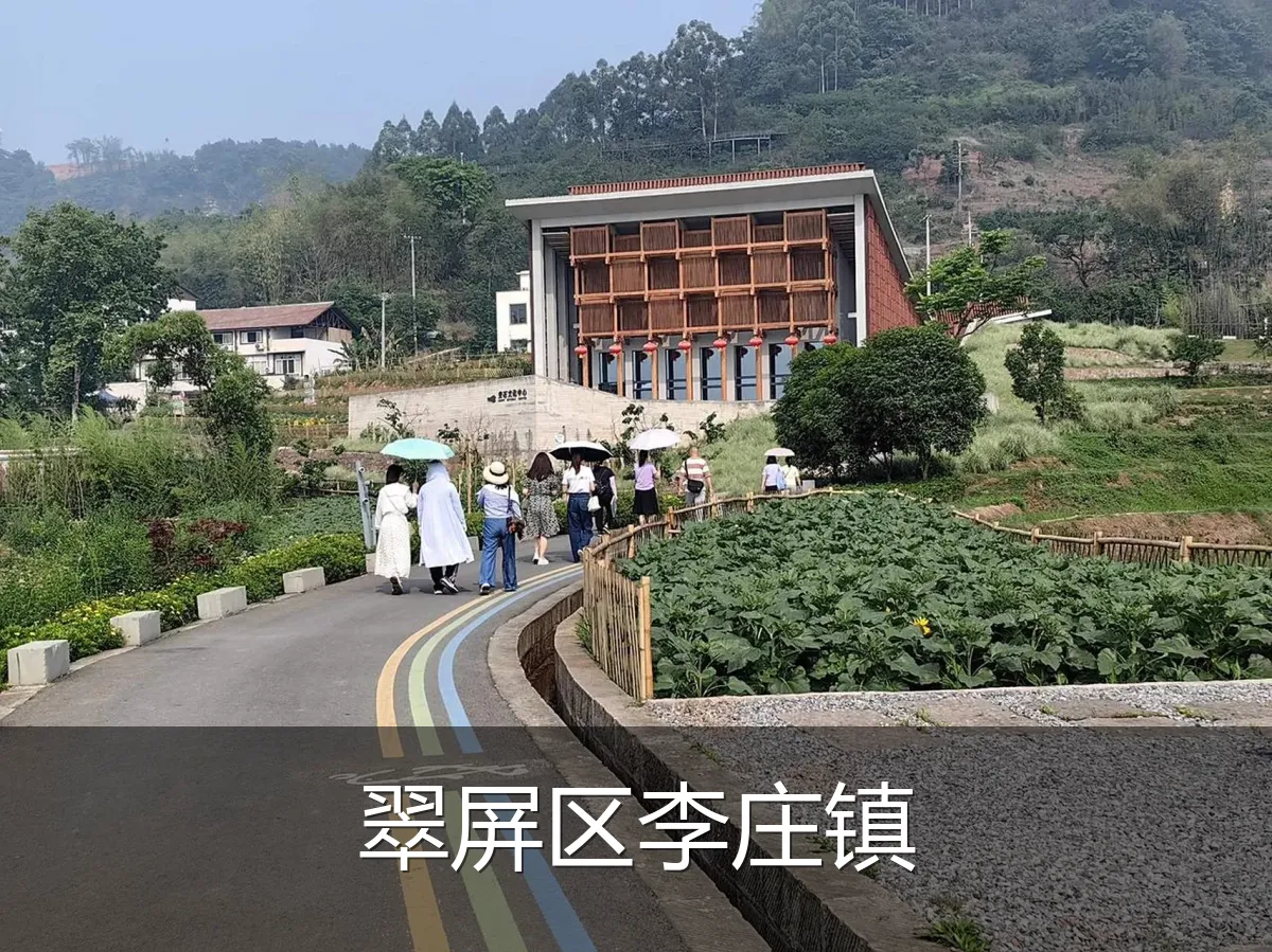 翠屏区李庄镇