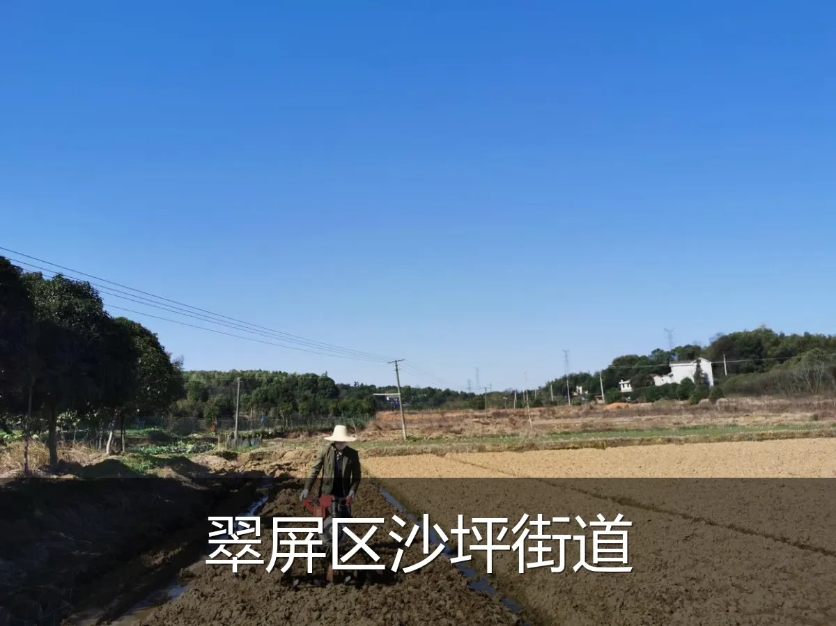翠屏区沙坪街道
