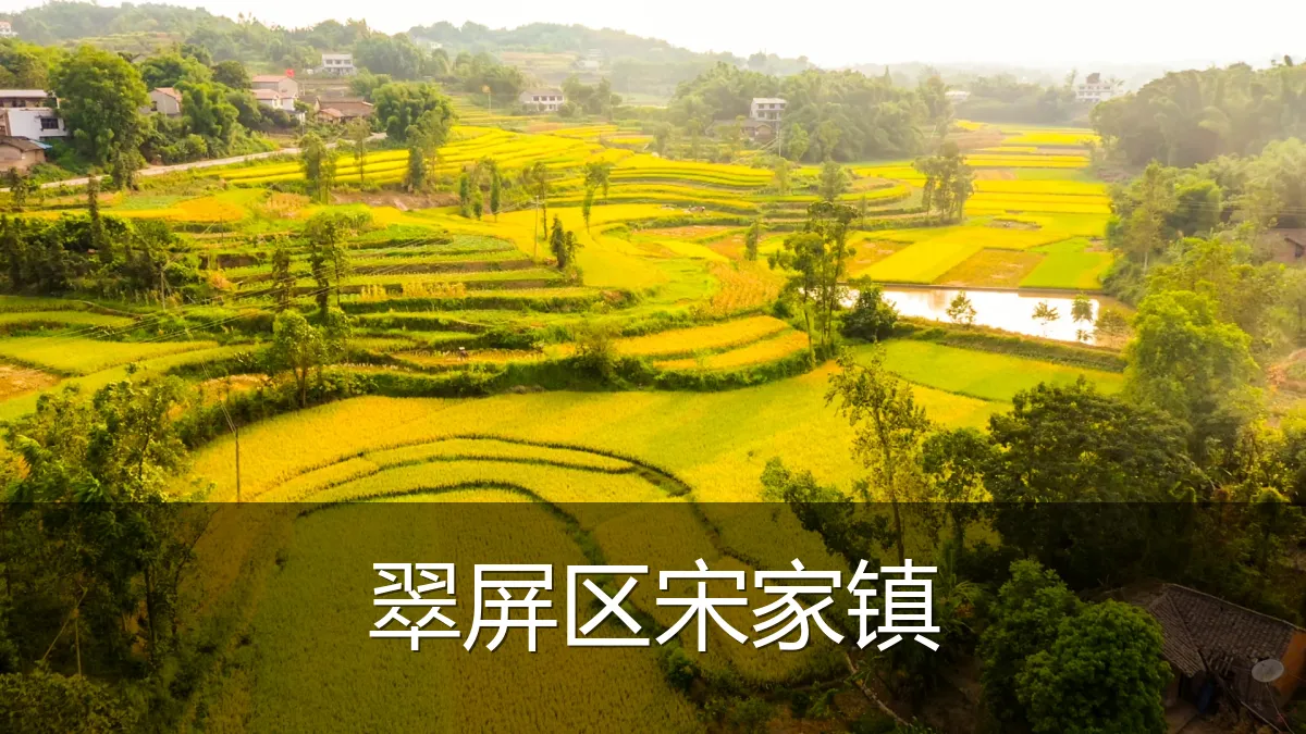 翠屏区宋家镇