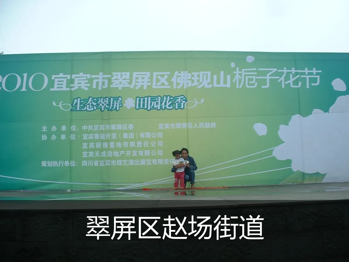 翠屏区赵场街道