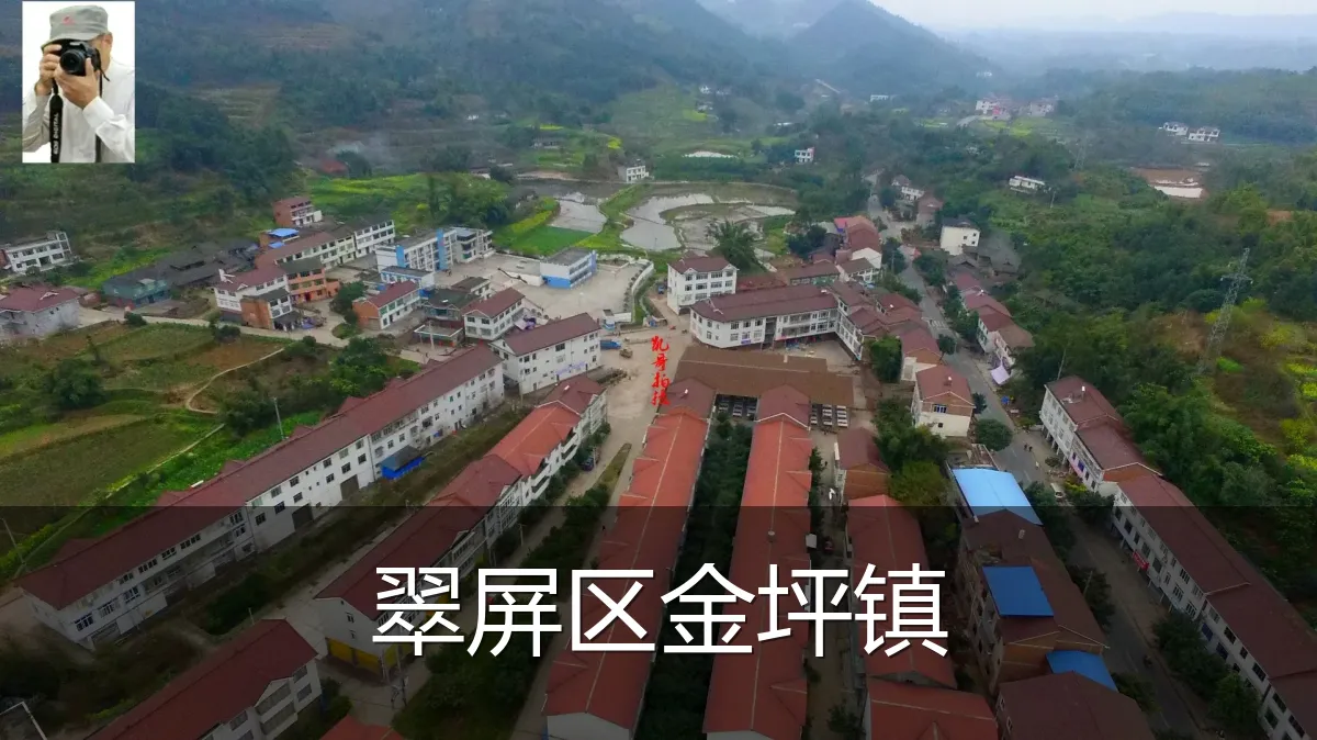 翠屏区金坪镇